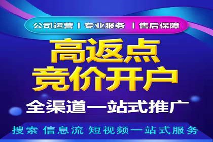 SEM广告的精准定向技巧与成功案例解析